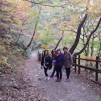 2017년 가을 주왕산 야유회