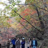 2017년 가을 주왕산 야유회